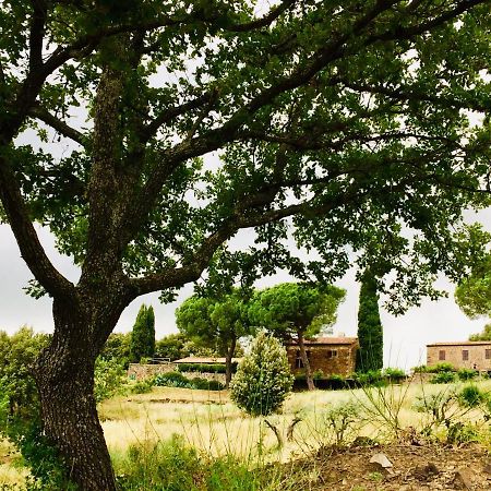 Nocini Di Maremma Villa Tatti Dış mekan fotoğraf