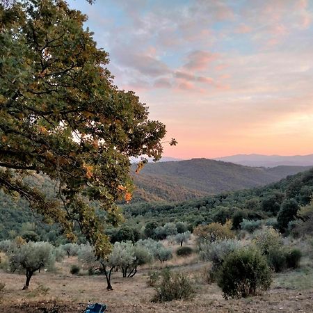 Nocini Di Maremma Villa Tatti Dış mekan fotoğraf