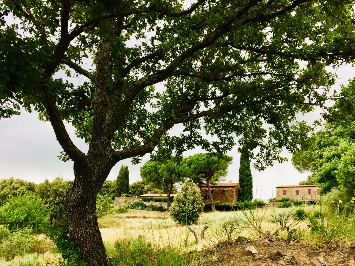 Nocini Di Maremma Villa Tatti Dış mekan fotoğraf