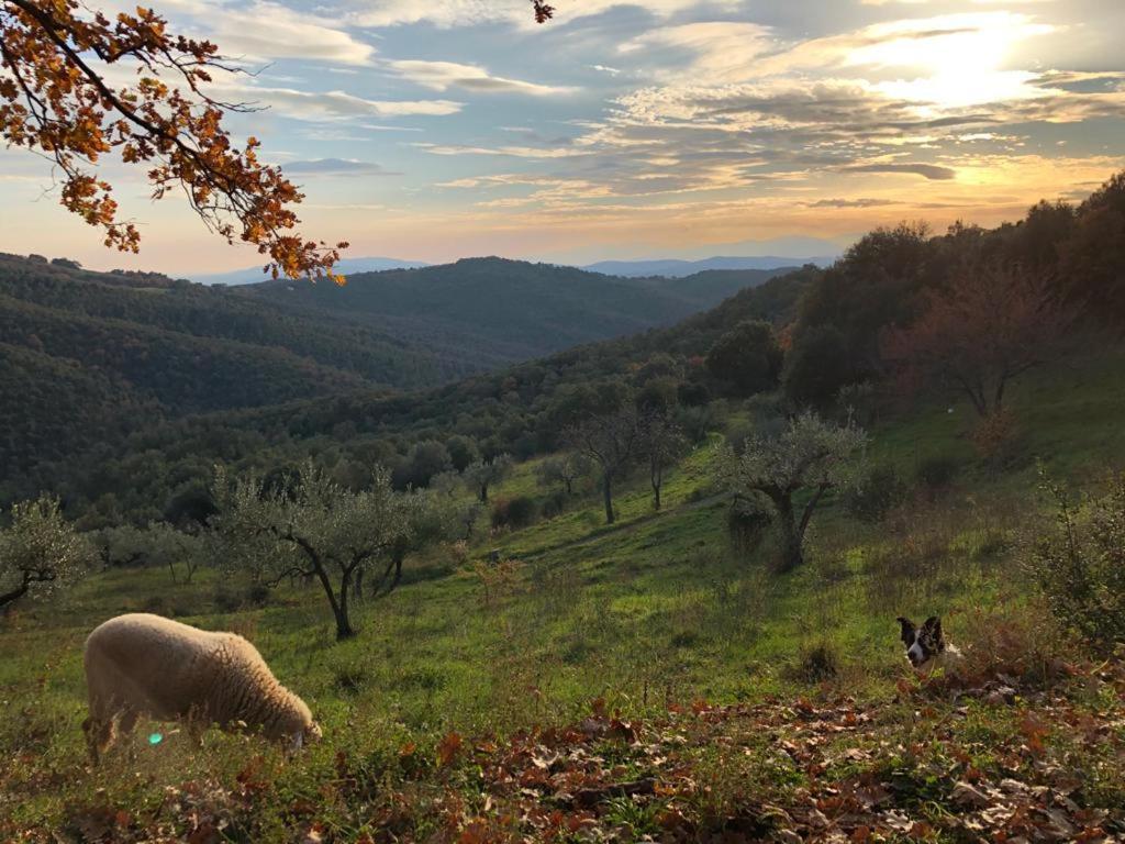 Nocini Di Maremma Villa Tatti Dış mekan fotoğraf