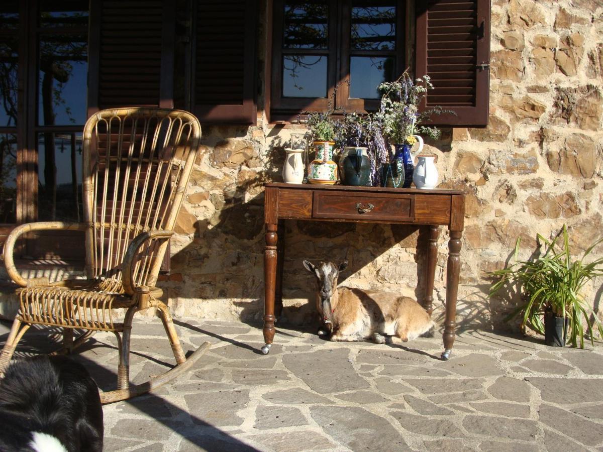 Nocini Di Maremma Villa Tatti Dış mekan fotoğraf
