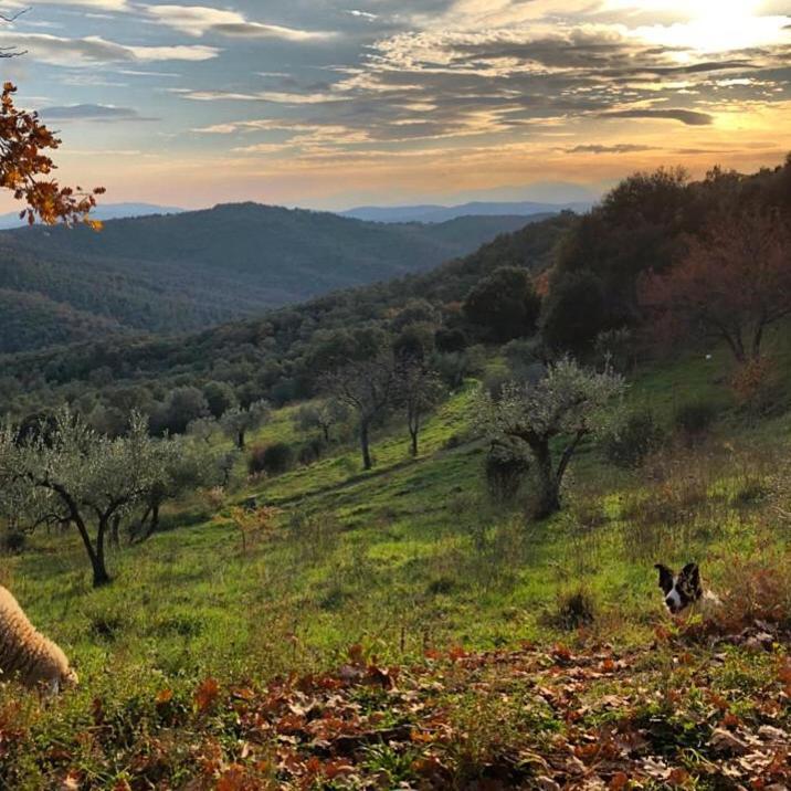 Nocini Di Maremma Villa Tatti Dış mekan fotoğraf