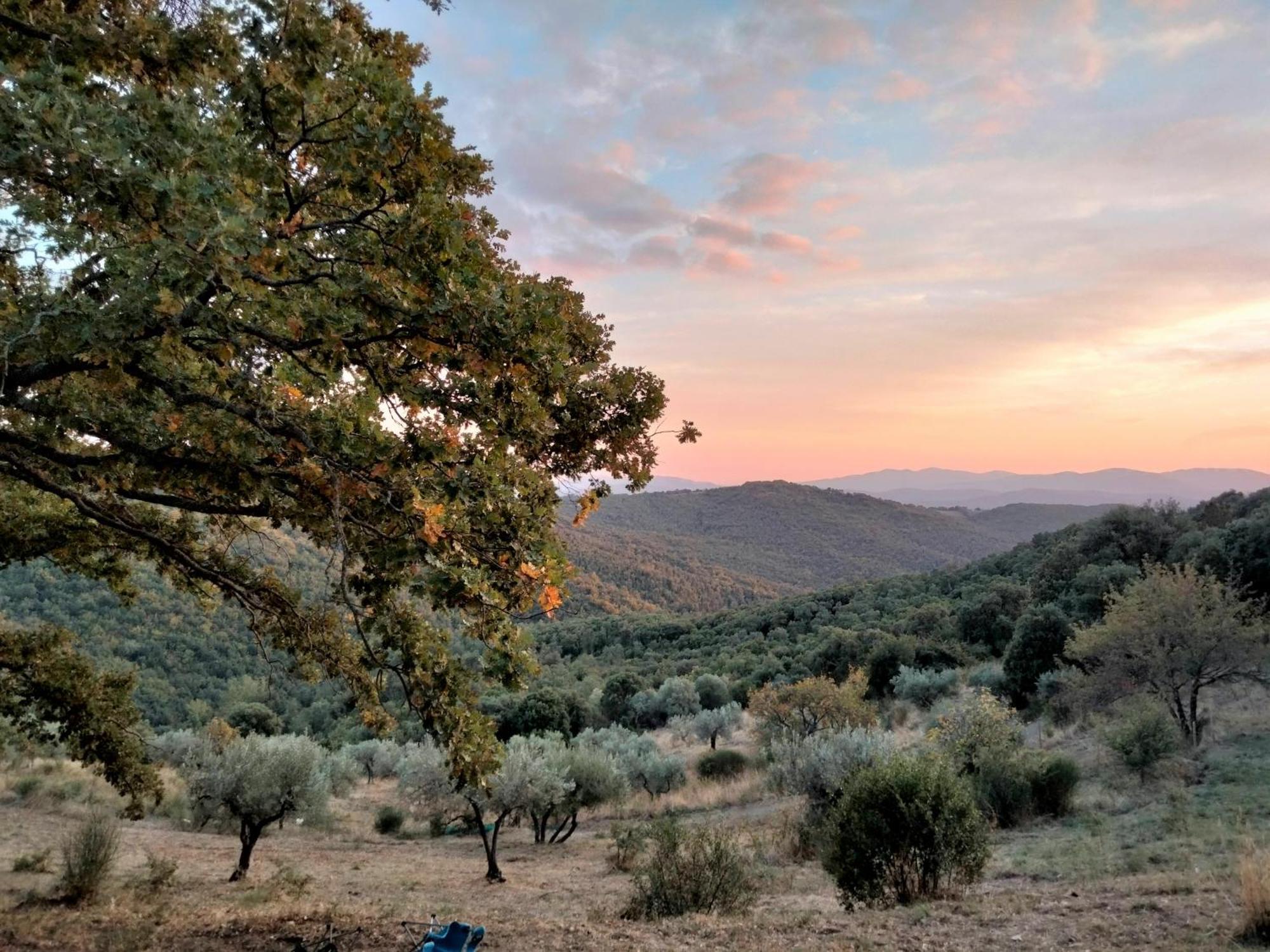 Nocini Di Maremma Villa Tatti Dış mekan fotoğraf