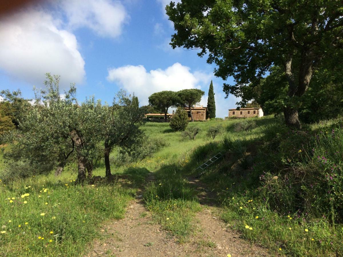 Nocini Di Maremma Villa Tatti Dış mekan fotoğraf