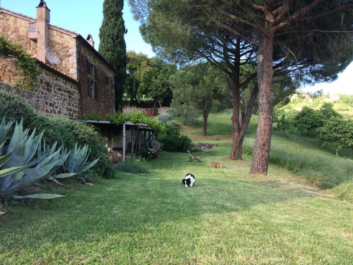 Nocini Di Maremma Villa Tatti Dış mekan fotoğraf